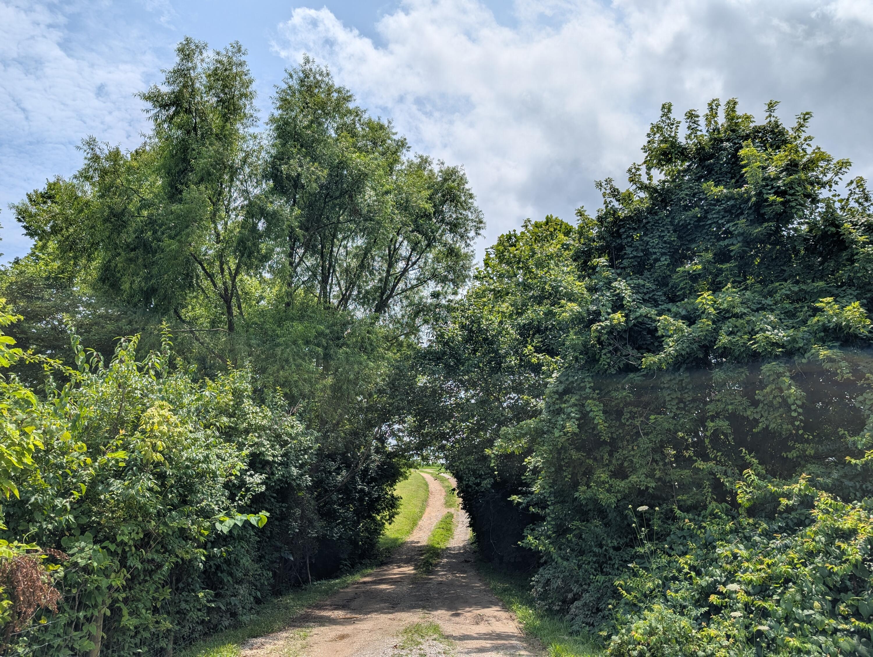3560 Wades Mill Road