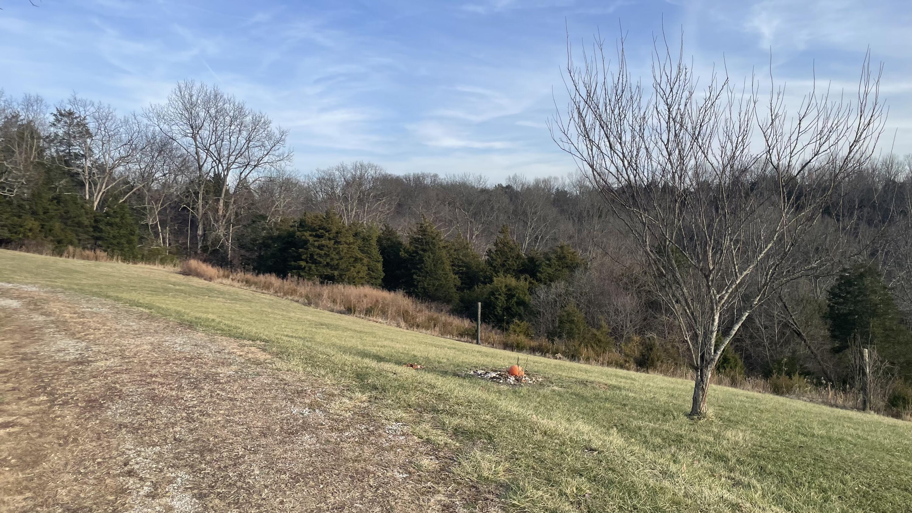 2440 Harp Pike