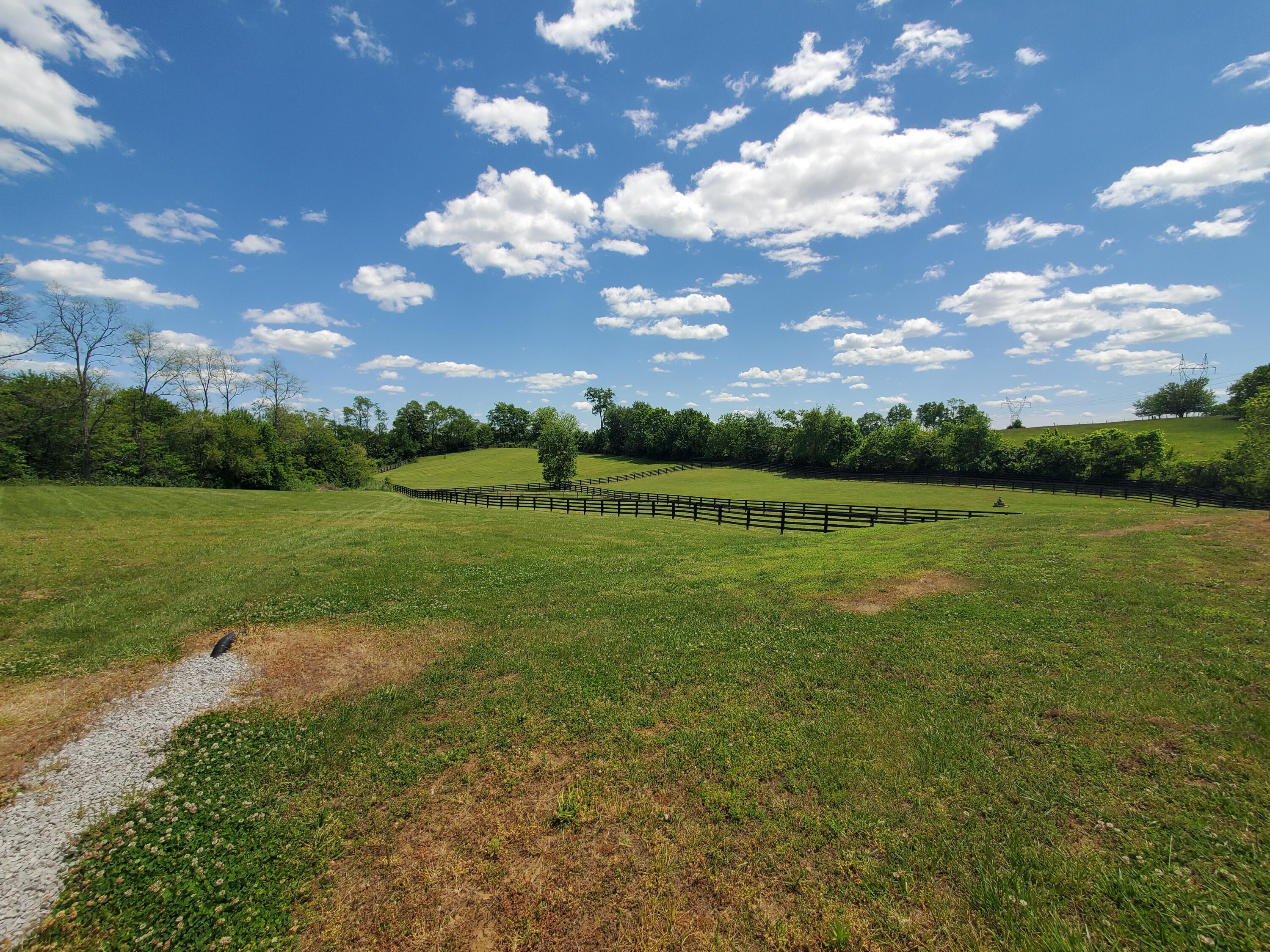 696 Pea Ridge Road