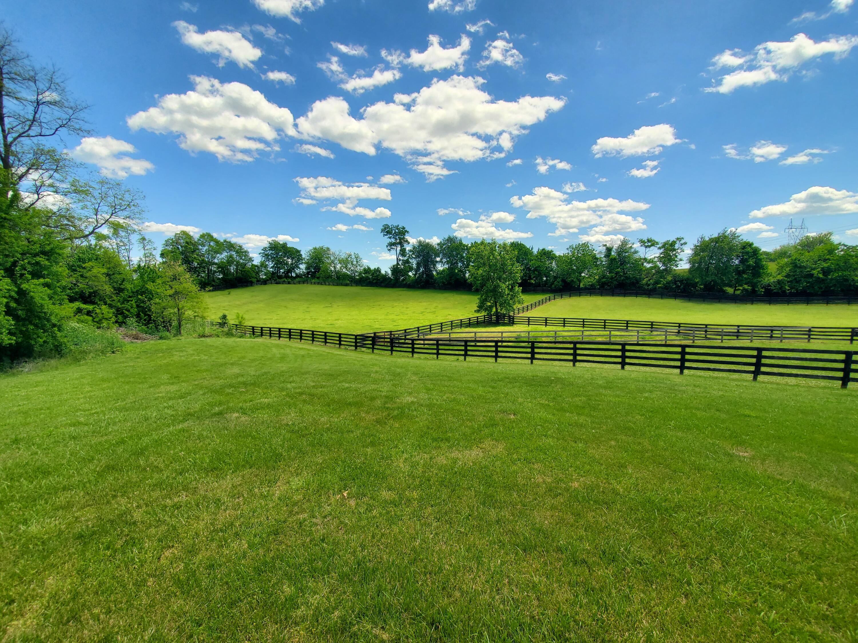 696 Pea Ridge Road