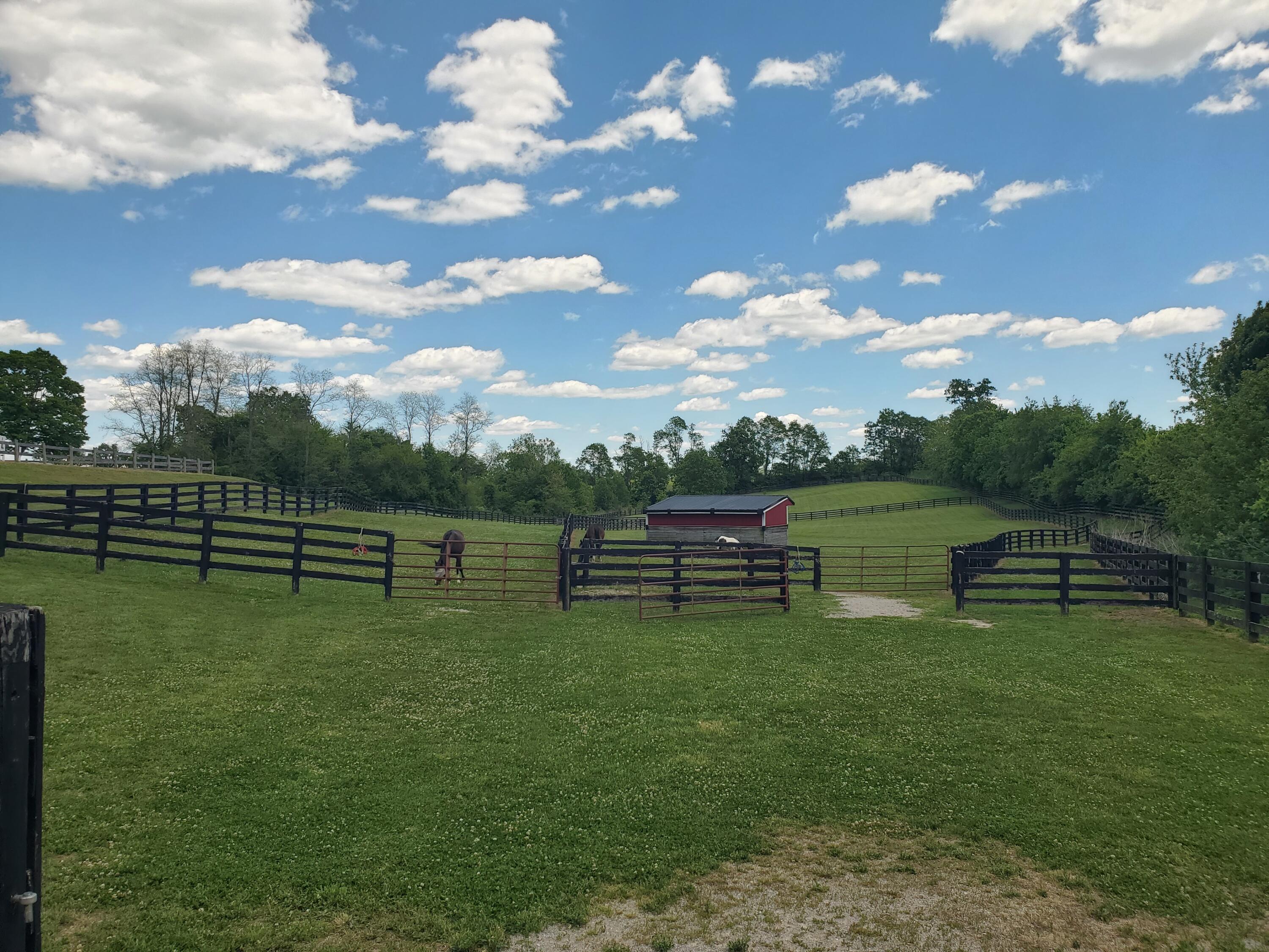 696 Pea Ridge Road