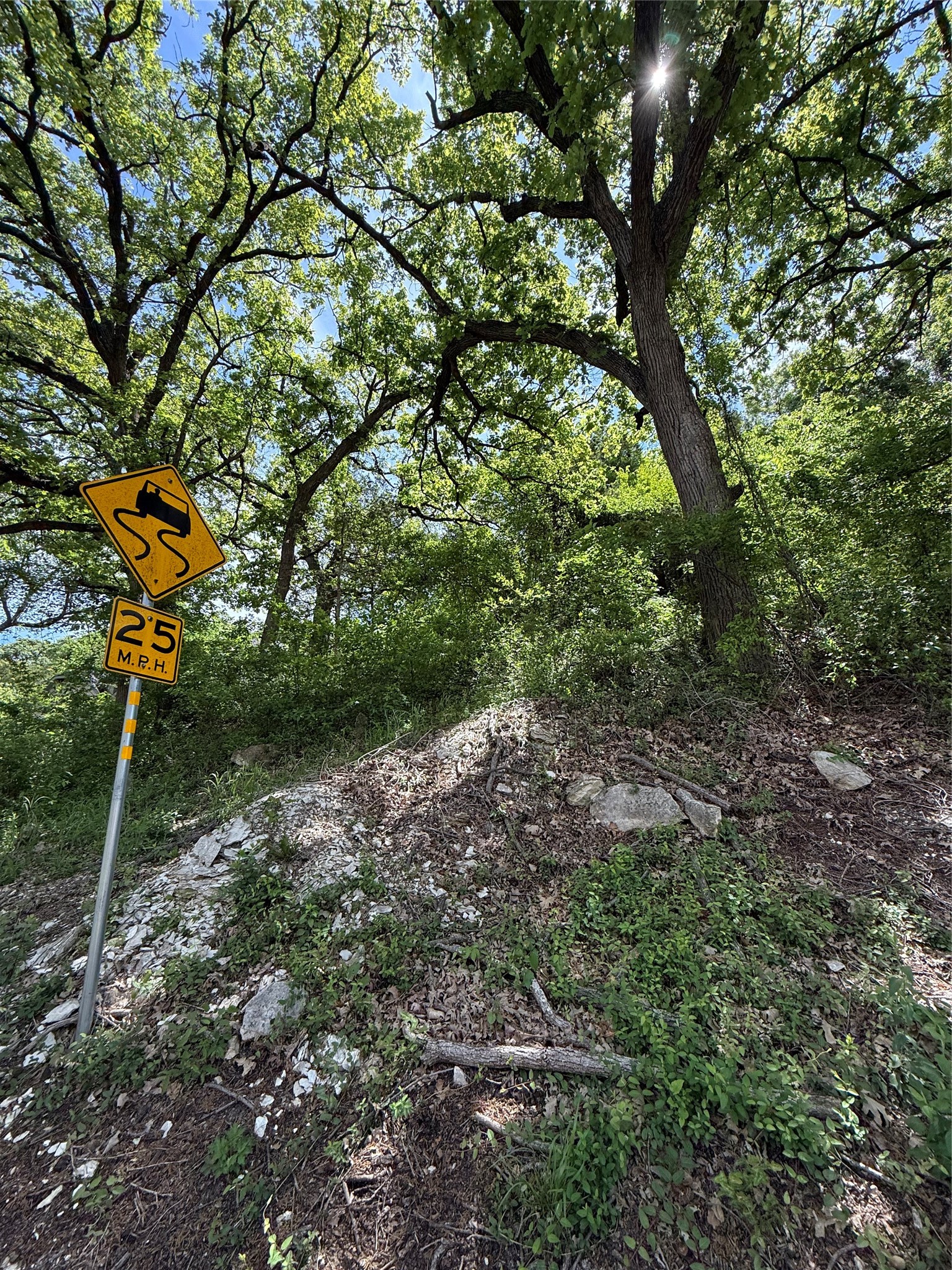 904 Sleepy Hollow Drive