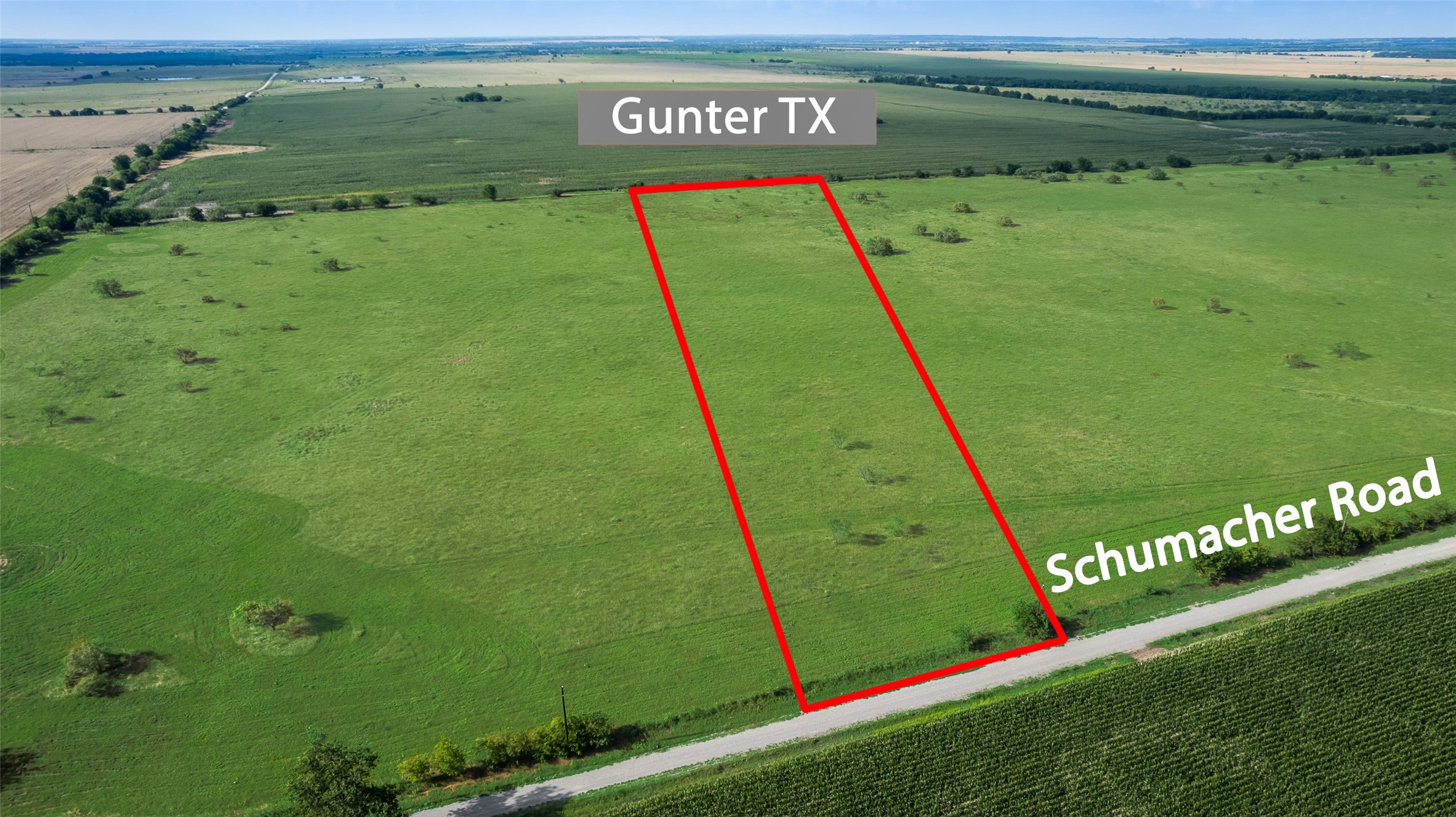 795 Schumacher 2A