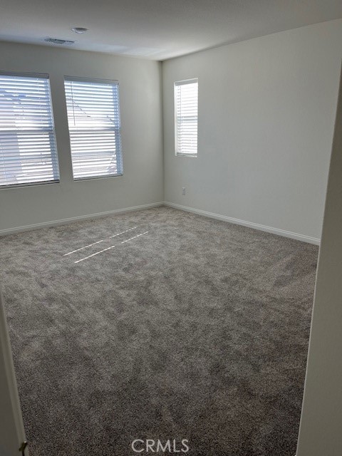 1721 Blanket Flower Place
