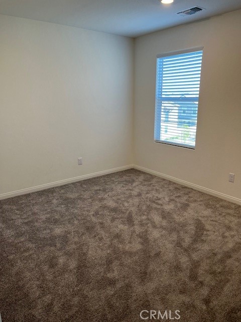 1721 Blanket Flower Place