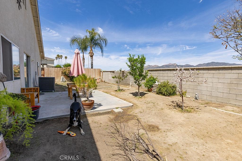 43564 Amazon Street