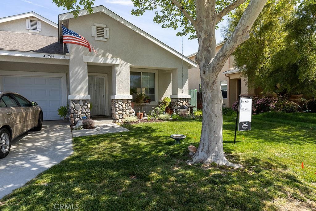 43564 Amazon Street