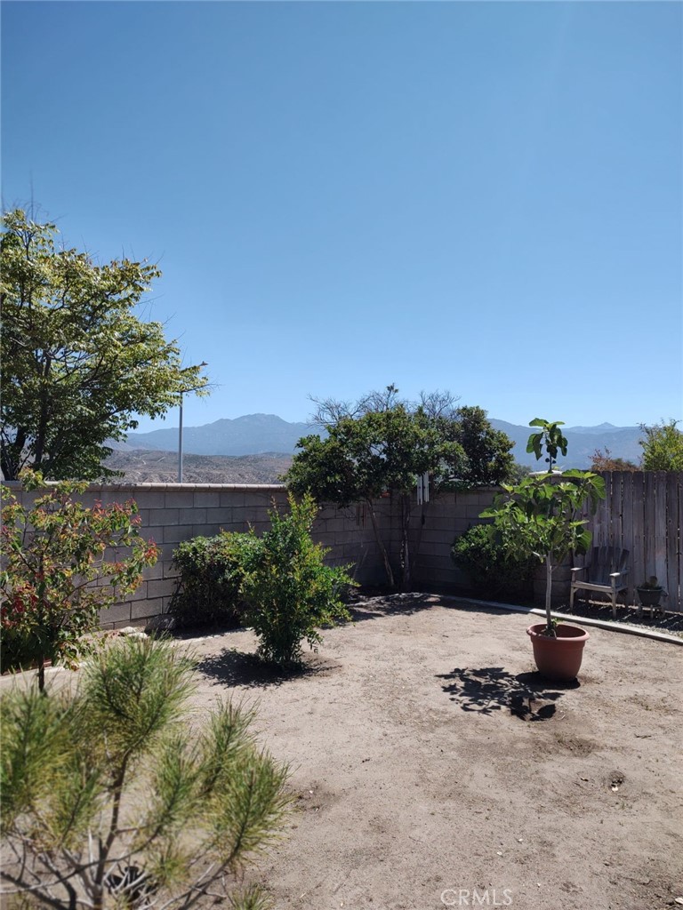 43564 Amazon Street