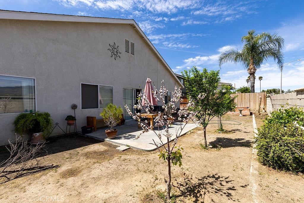 43564 Amazon Street