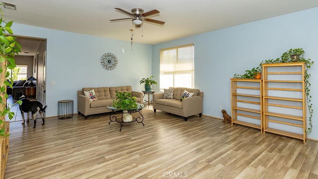 43564 Amazon Street