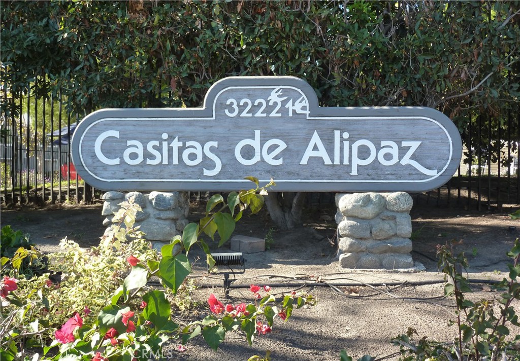 32221 Alipaz St 257