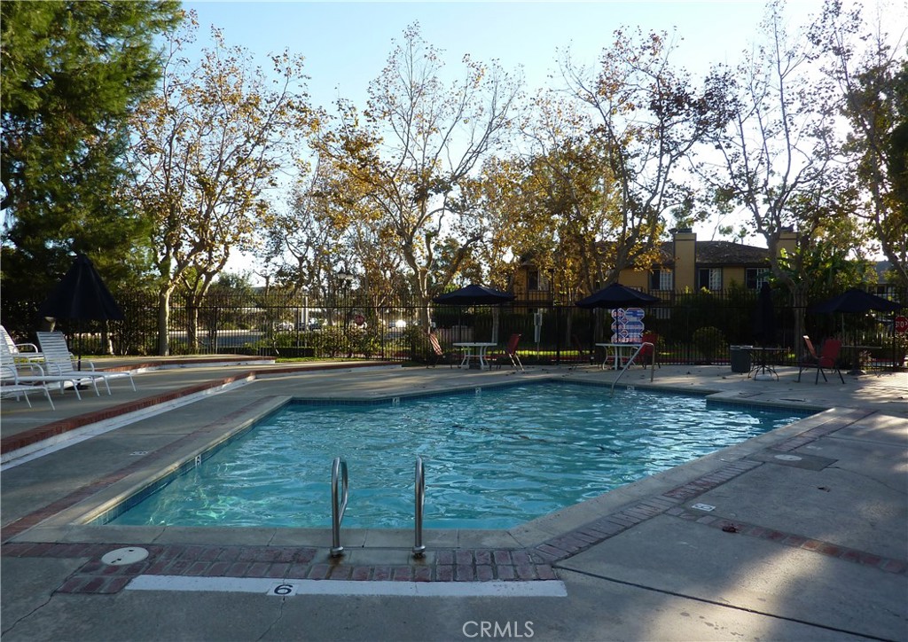 32221 Alipaz St 257