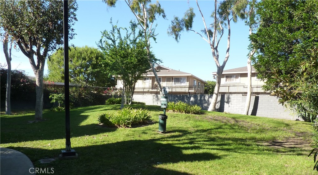 32221 Alipaz St 257