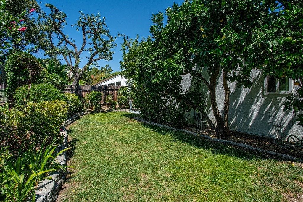 25441 McIntyre Street