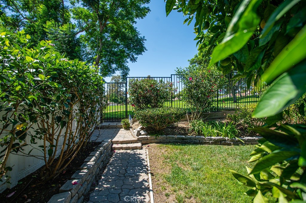 25441 McIntyre Street