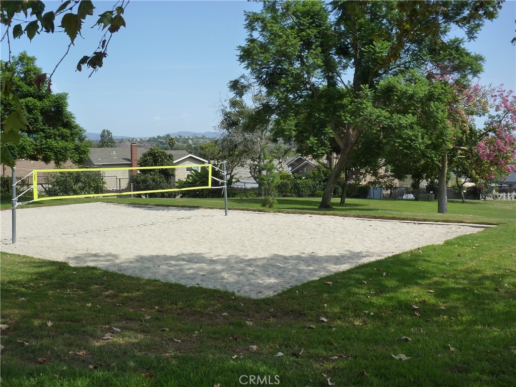 25441 McIntyre Street