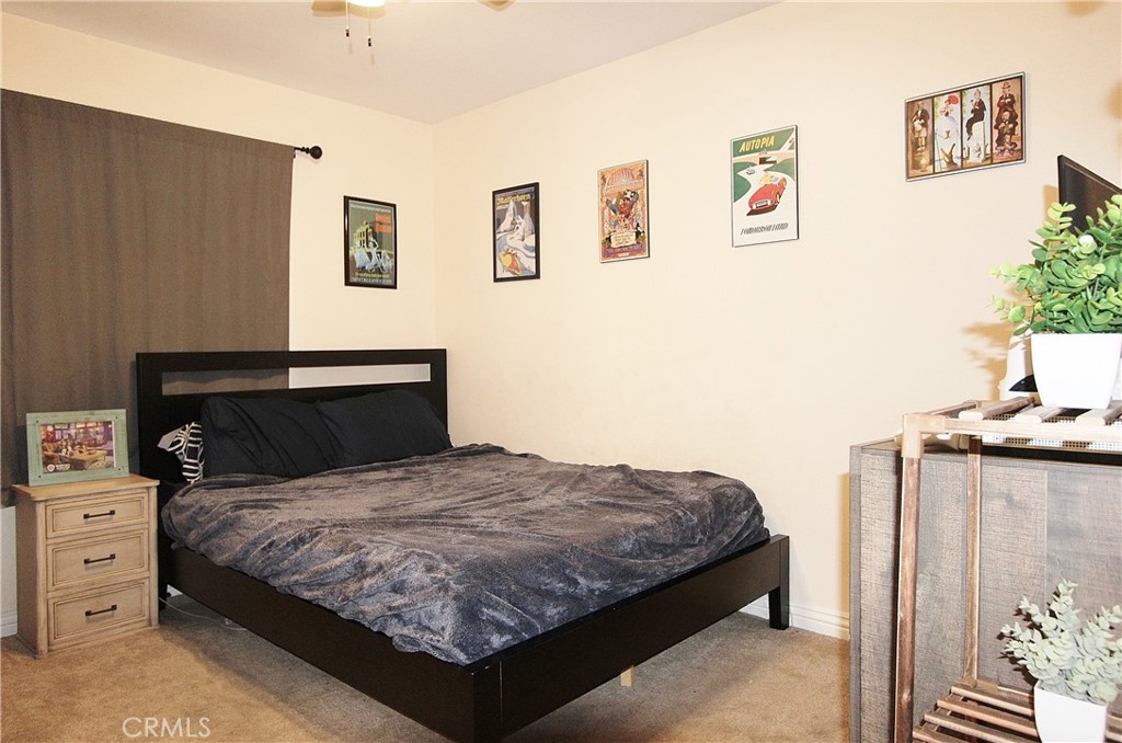3695 Blue Gum Drive