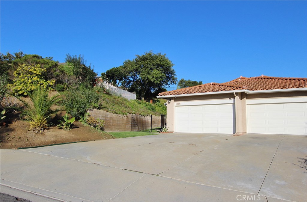 3695 Blue Gum Drive