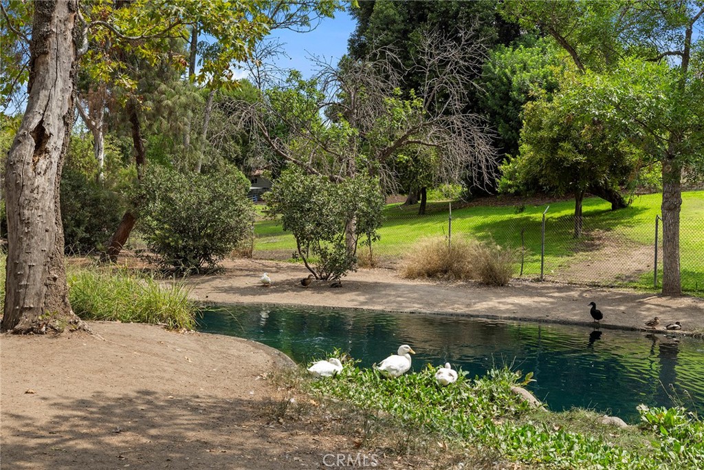 506 Lakeside Drive