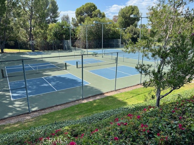 407 Thunderbird Court