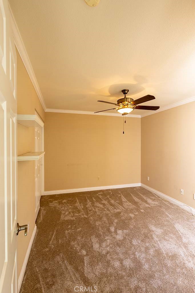 407 Thunderbird Court