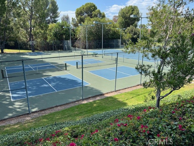 407 Thunderbird Court