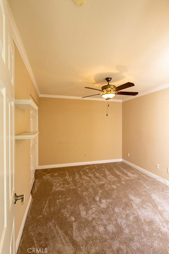 407 Thunderbird Court