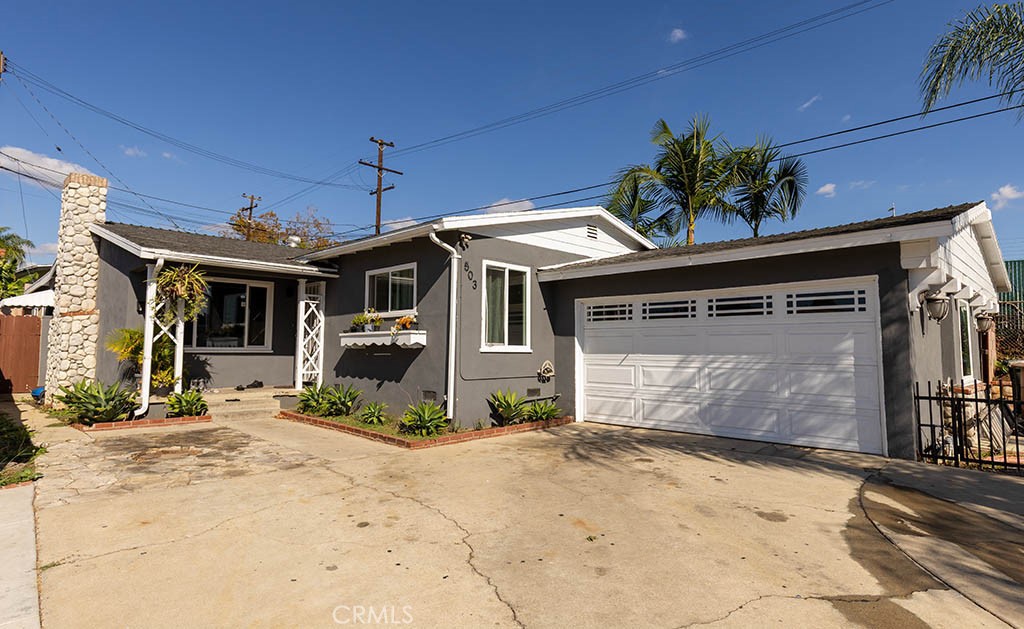 503 Wilson