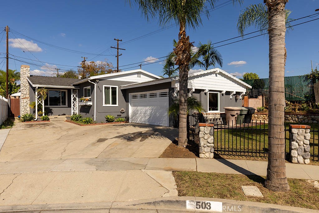 503 Wilson