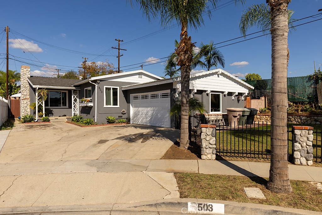 503 Wilson