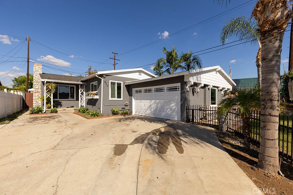503 Wilson