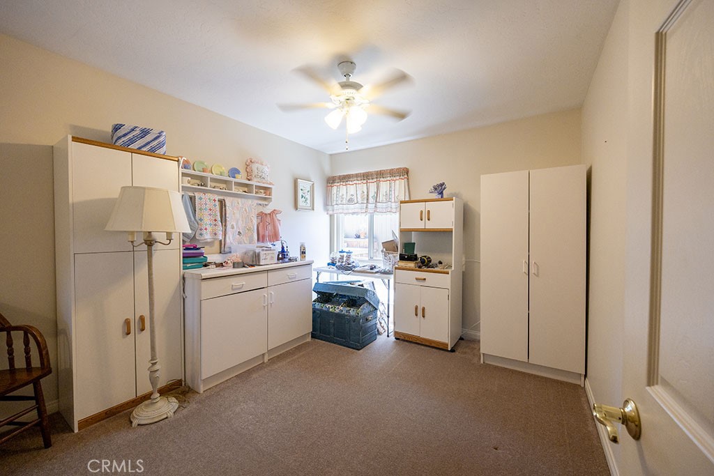2921 Persimmon