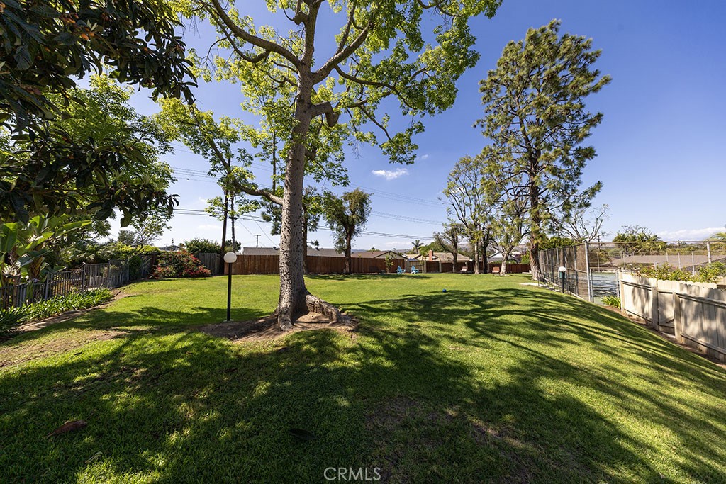 2921 Persimmon