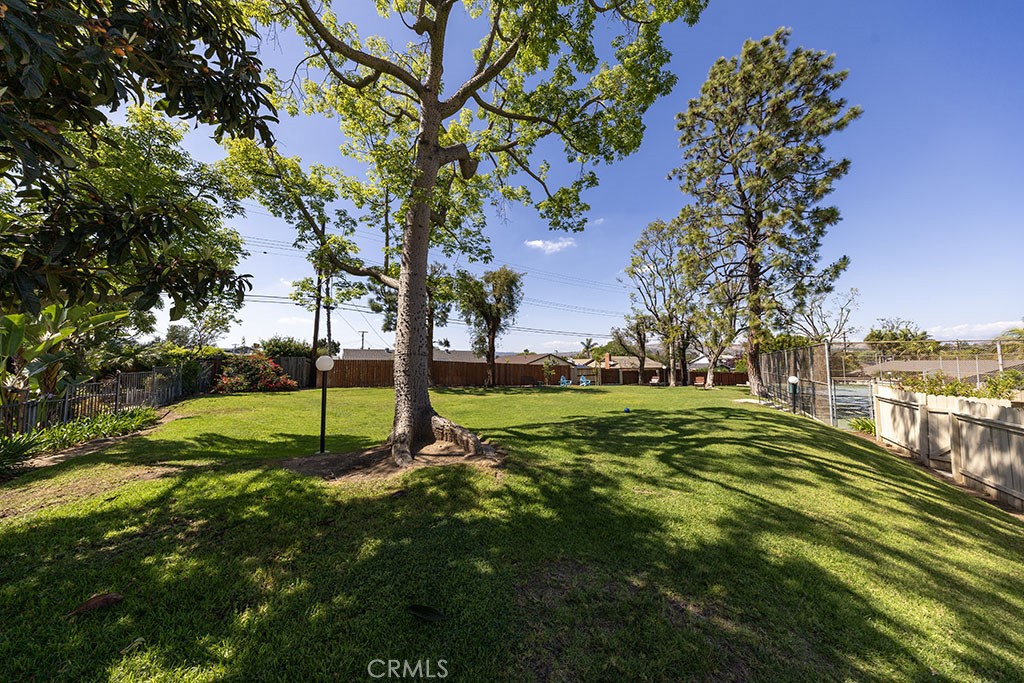 2921 Persimmon