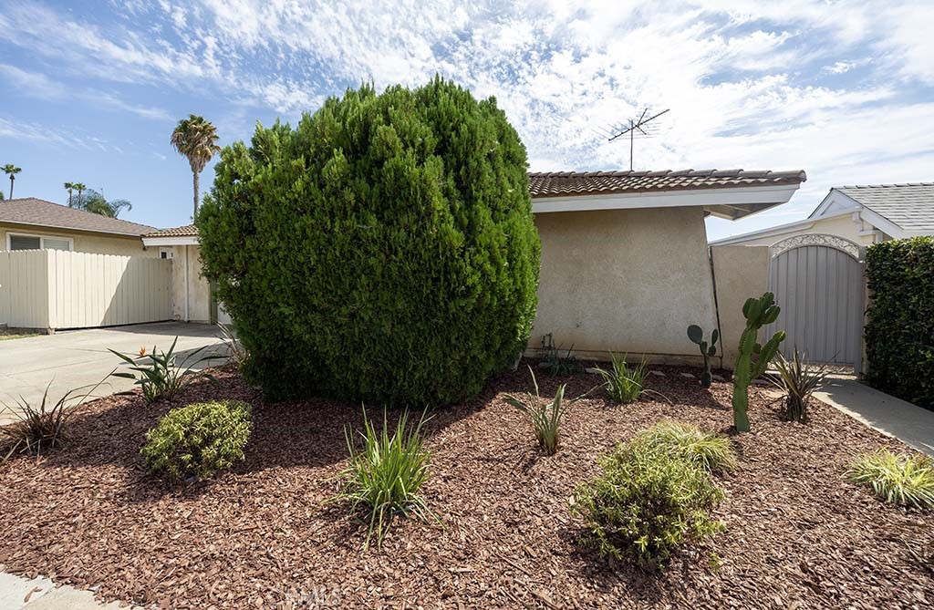 1854 W Skywood