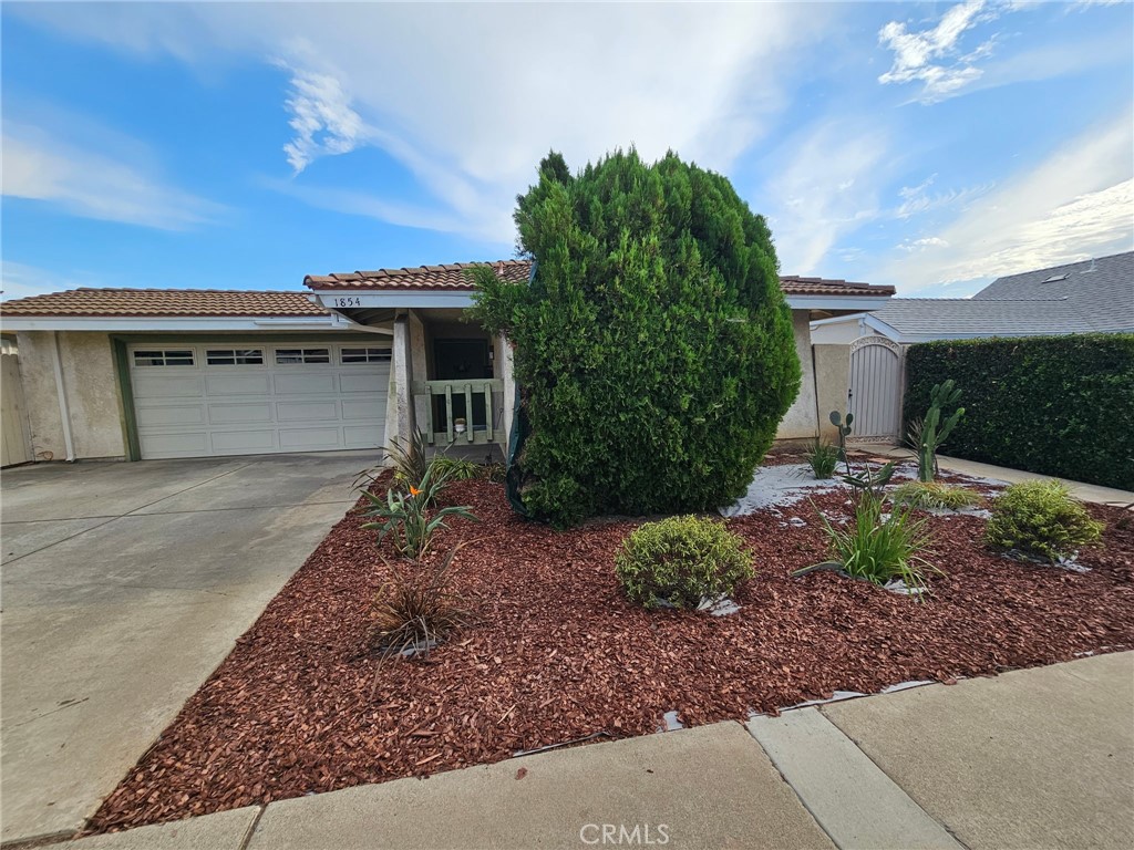 1854 W Skywood