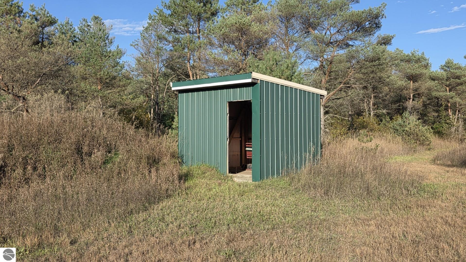 Green metal storage shed in a grassy clearing among pine trees.