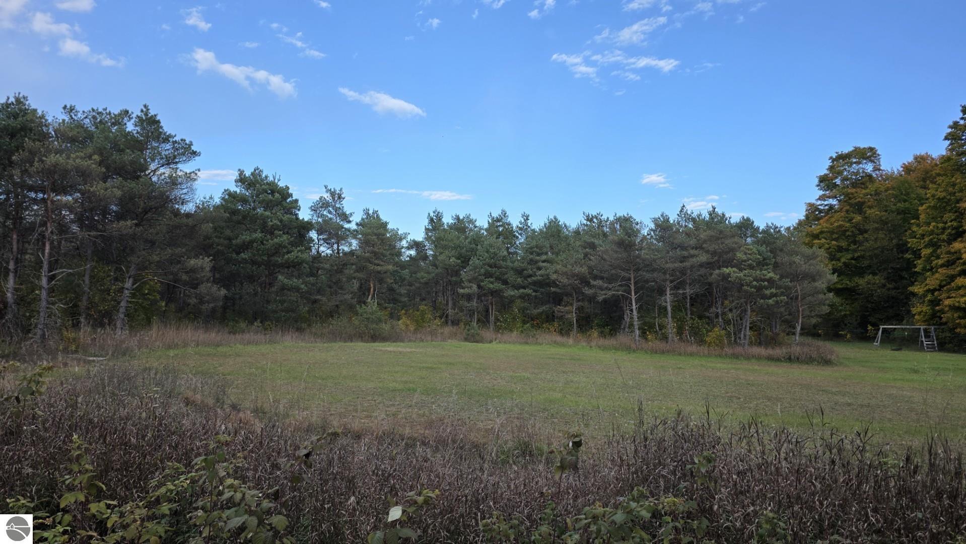 Open grassy lot bordered by trees, with a swing set at the far right.