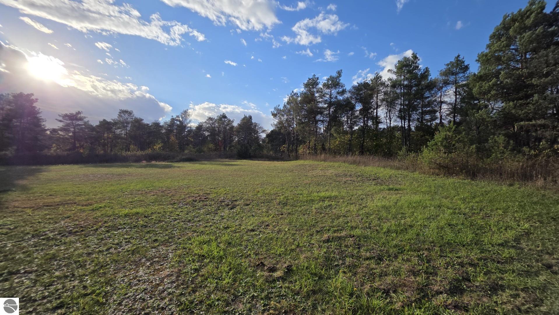 Open grassy parcel bordered by pine trees beneath a partly cloudy sky.