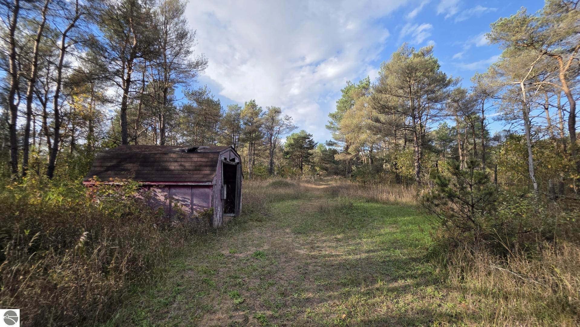 Wooded lot with a grassy clearing, dirt track, and weathered shed among the trees.