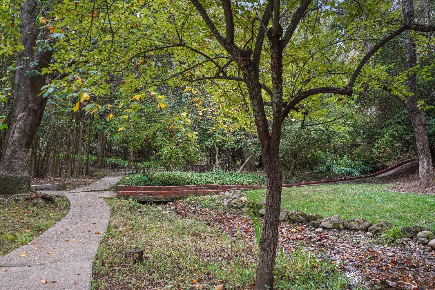 8655 Winding Way