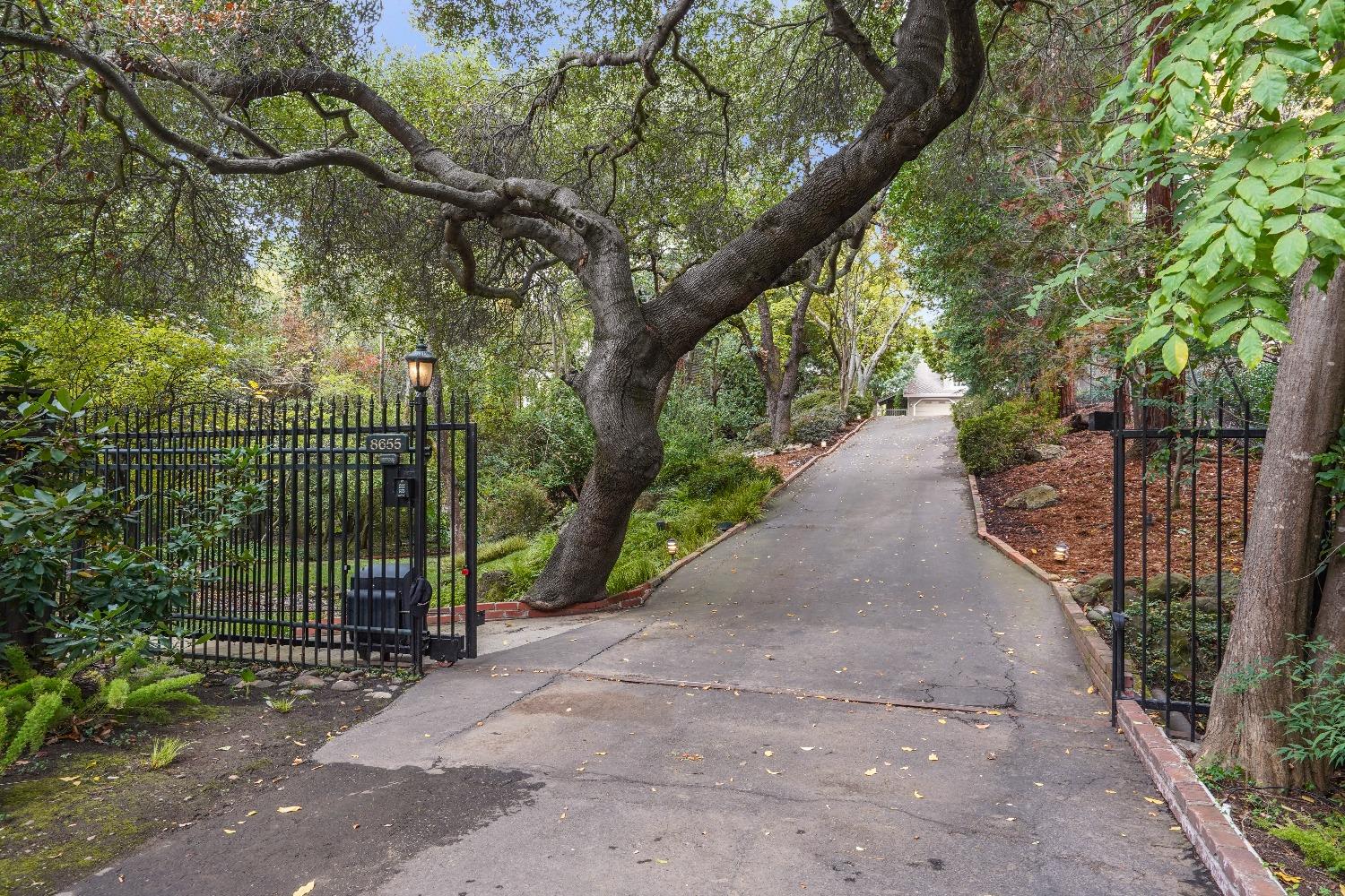 8655 Winding Way