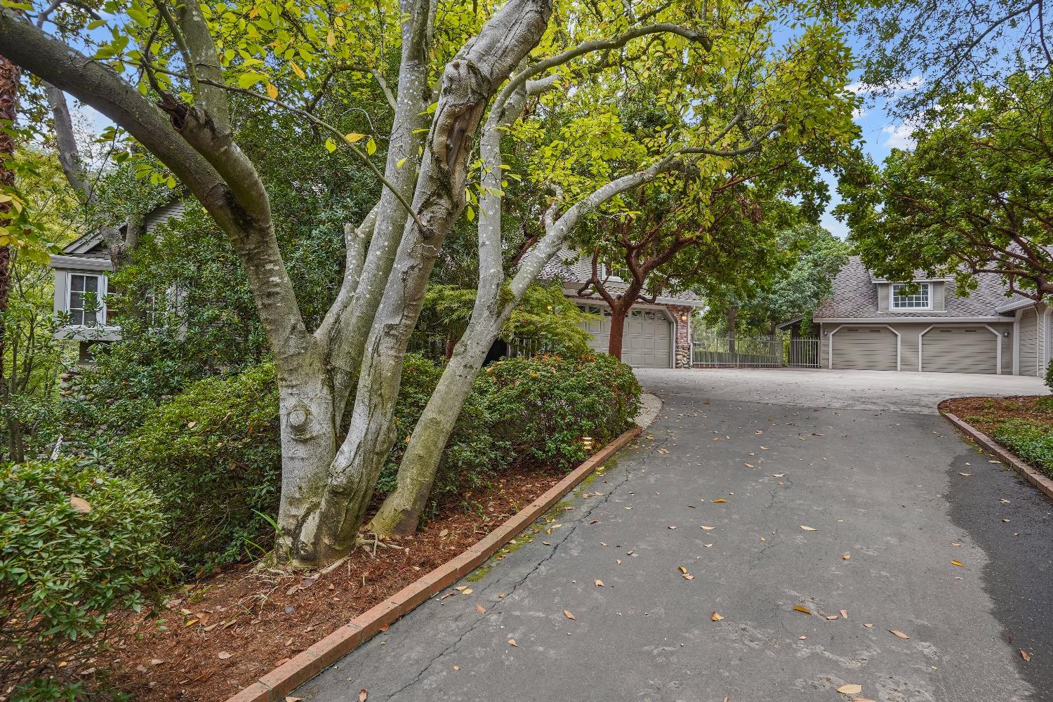 8655 Winding Way