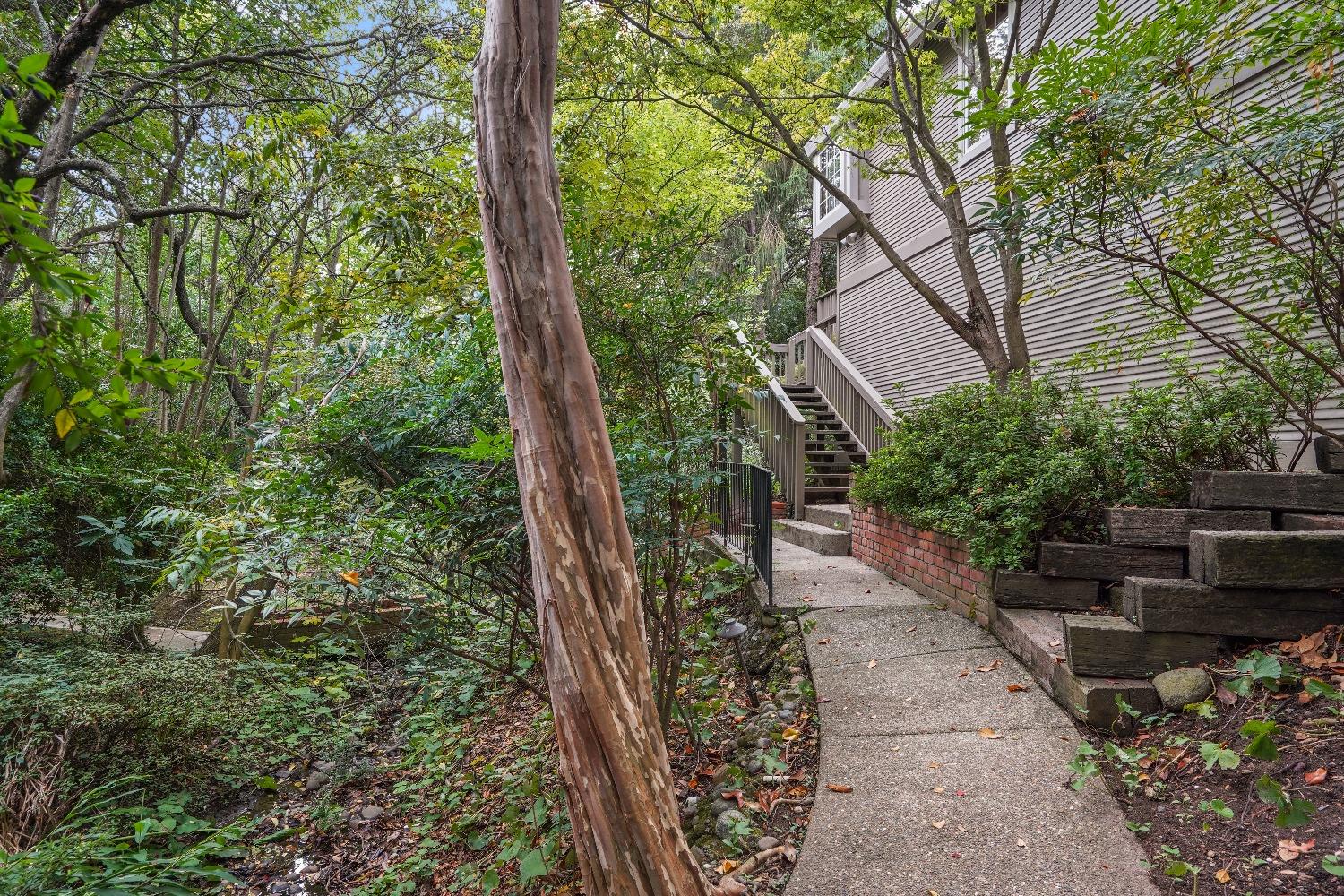 8655 Winding Way