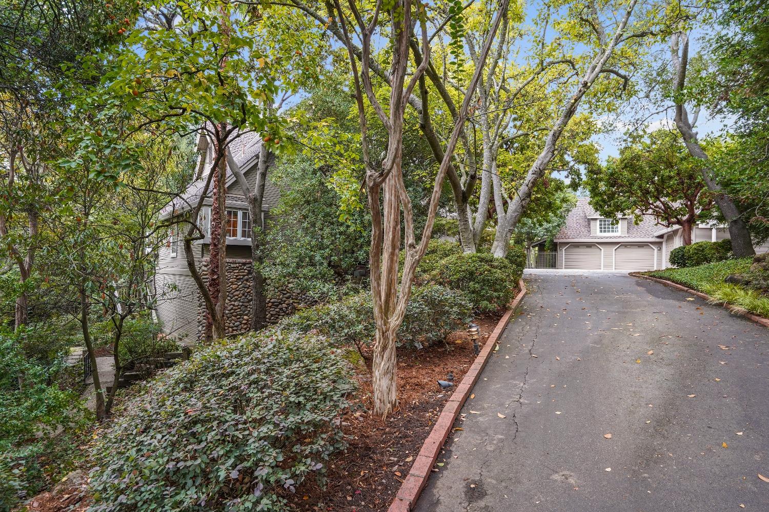 8655 Winding Way