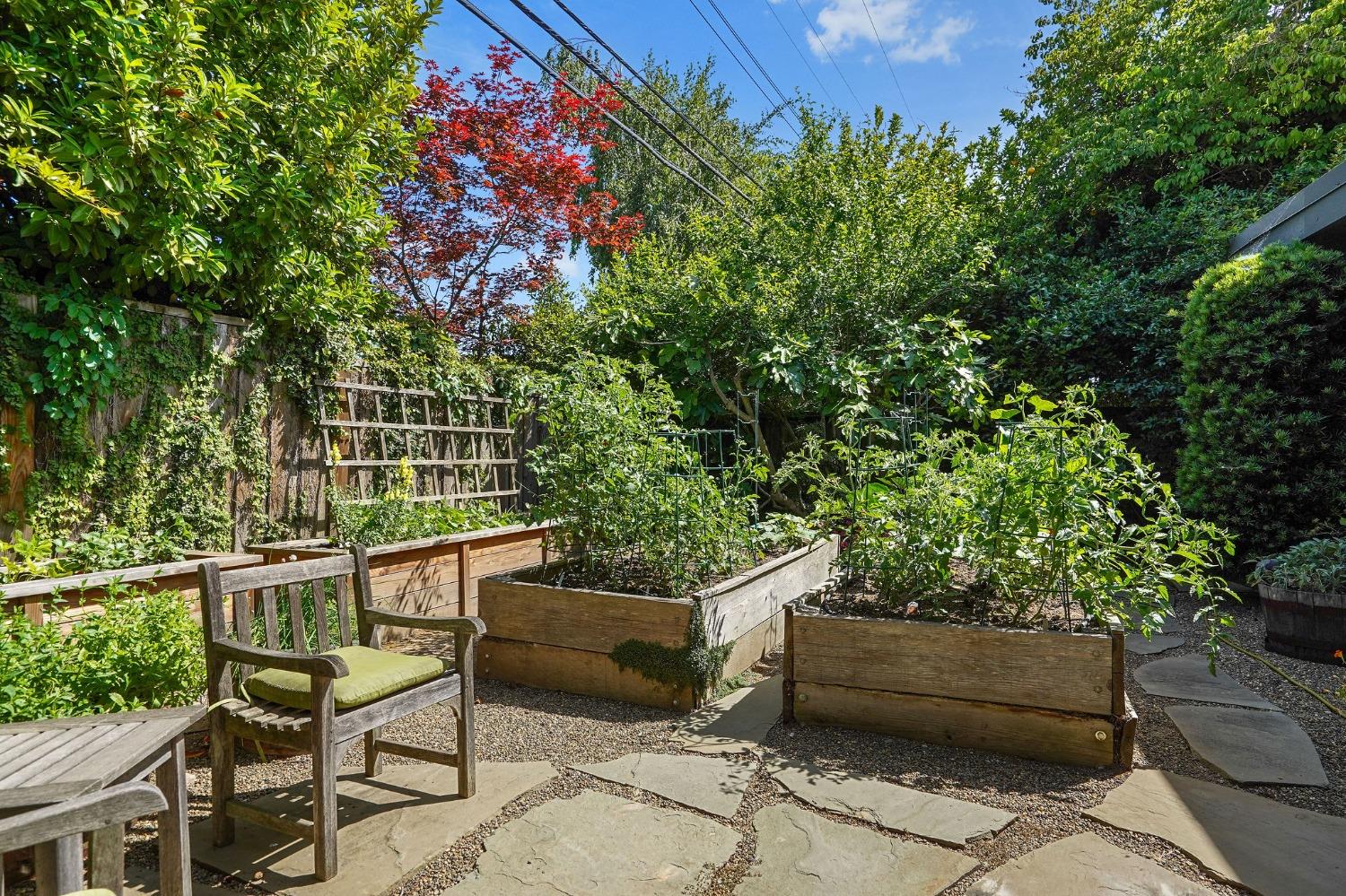 3419 Sierra Oaks Drive