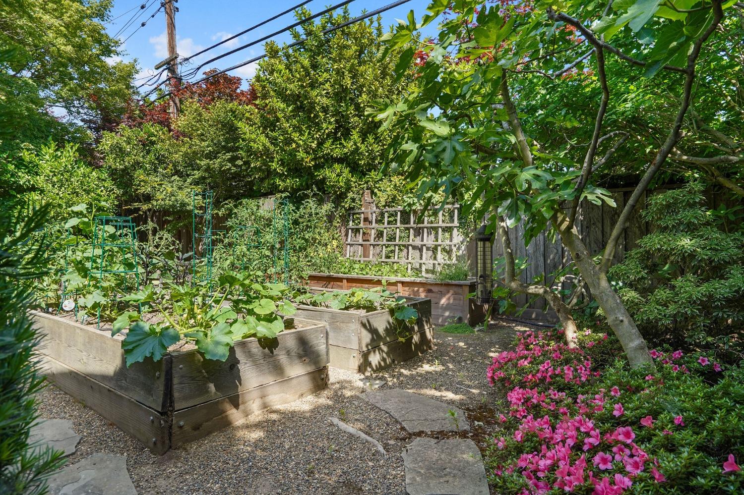 3419 Sierra Oaks Drive