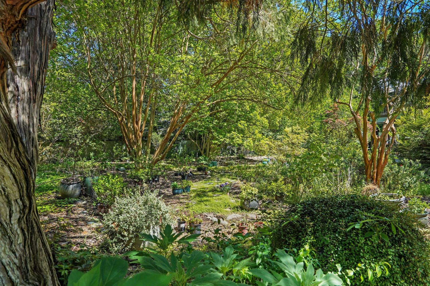 2650 Sierra Boulevard