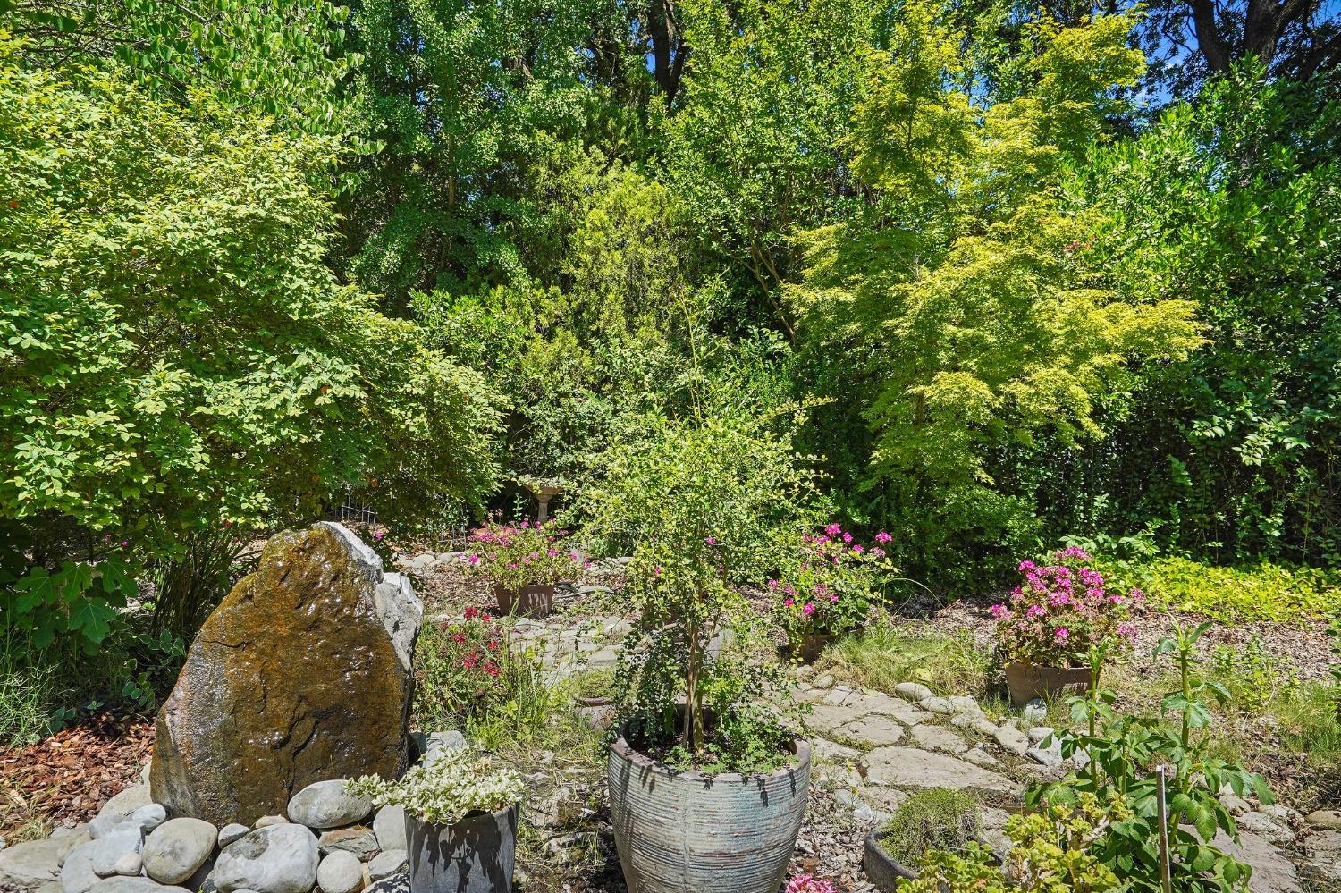 2650 Sierra Boulevard