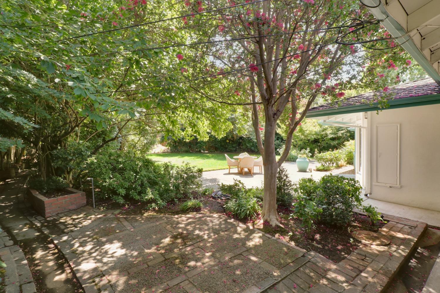 3230 American River Drive